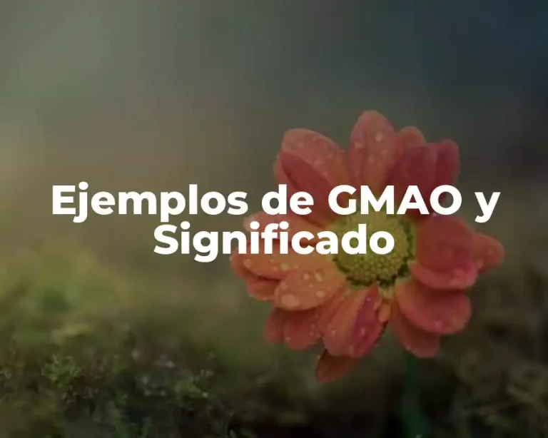 Ejemplos de GMAO y Significado