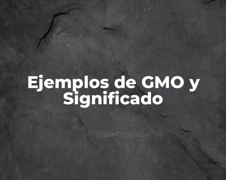 Ejemplos de GMO y Significado
