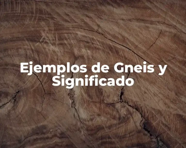 Ejemplos de Gneis y Significado
