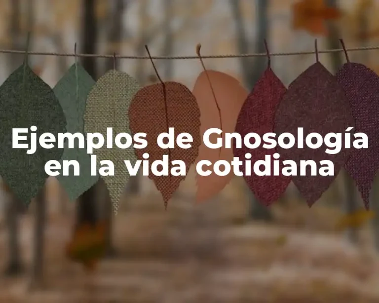 Ejemplos de Gnosología en la vida cotidiana