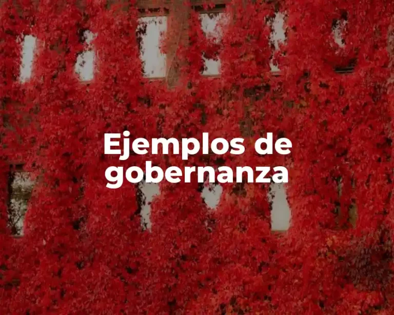 Ejemplos de gobernanza