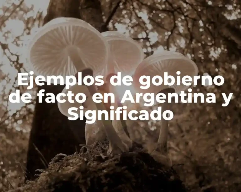 Ejemplos de gobierno de facto en Argentina y Significado