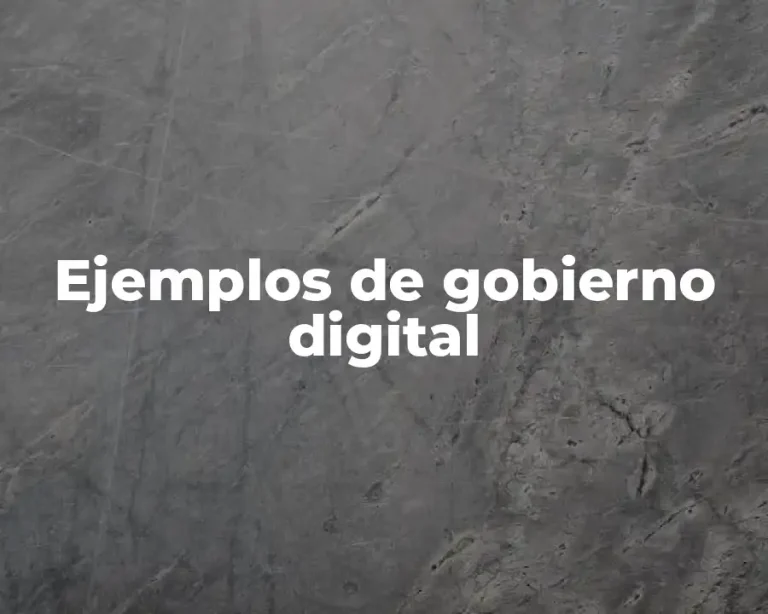 Ejemplos de gobierno digital