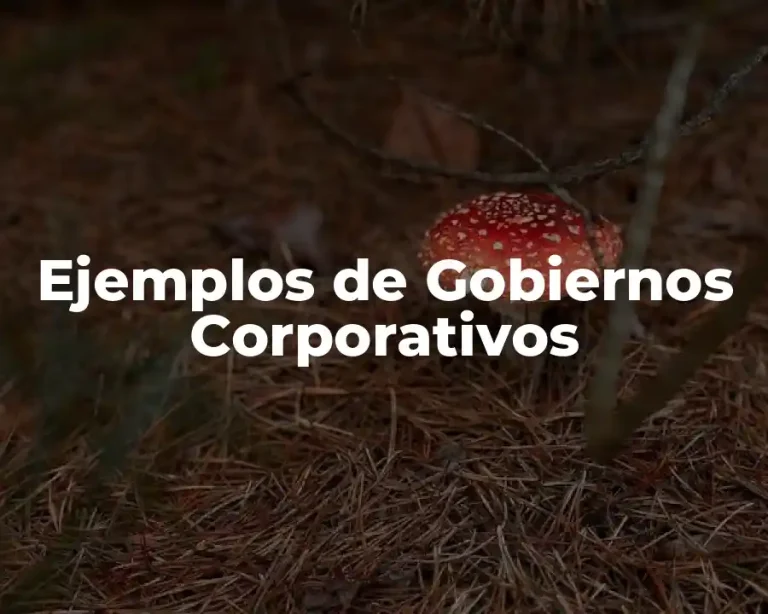 Ejemplos de Gobiernos Corporativos