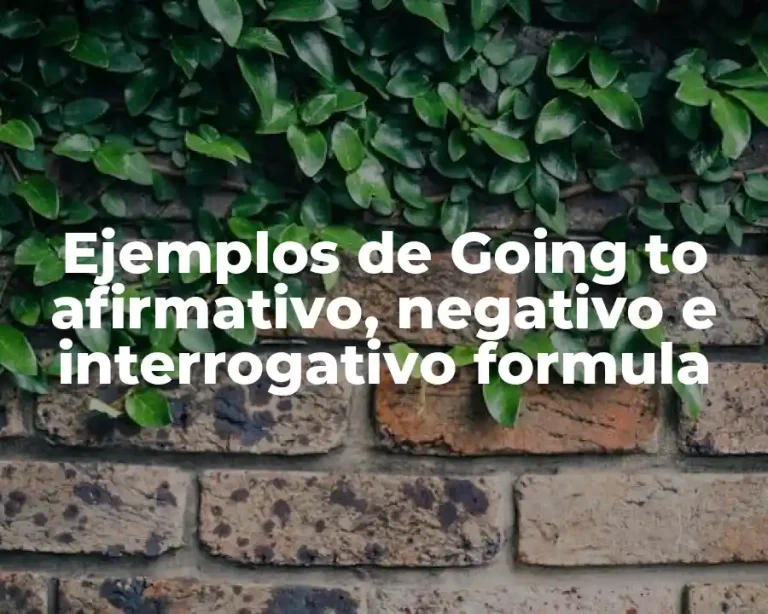 Ejemplos de Going to afirmativo, negativo e interrogativo formula