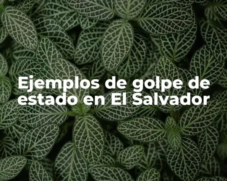 Ejemplos de golpe de estado en El Salvador