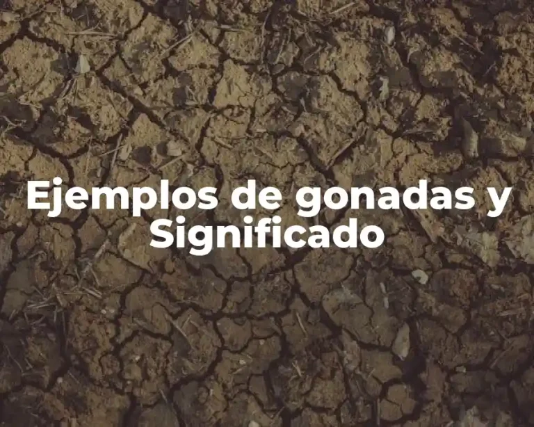 Ejemplos de gonadas y Significado
