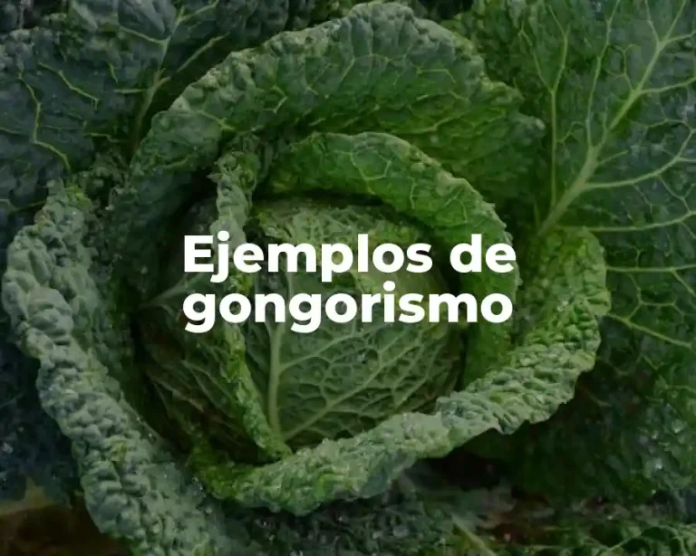 Ejemplos de gongorismo