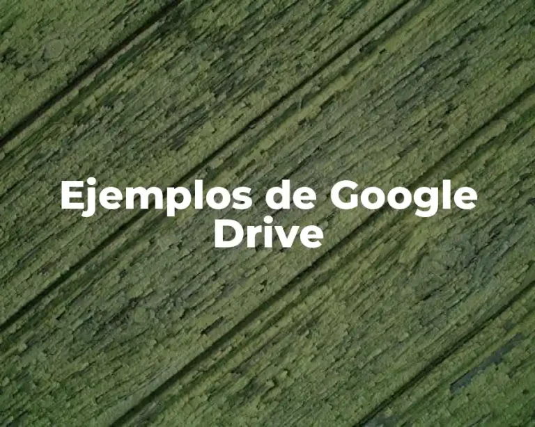 Ejemplos de Google Drive