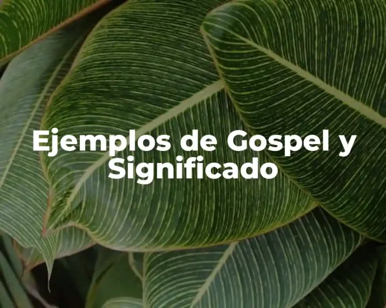 Ejemplos de Gospel y Significado