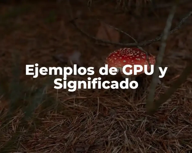 Ejemplos de GPU y Significado