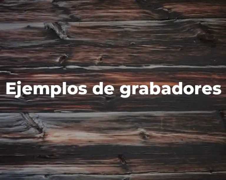 Ejemplos de grabadores
