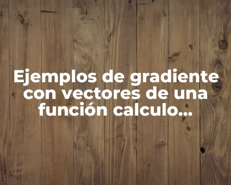 Ejemplos de gradiente con vectores de una función calculo vectorial y Significado