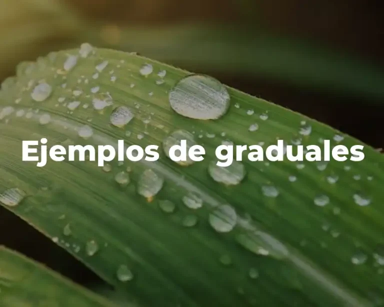 Ejemplos de graduales
