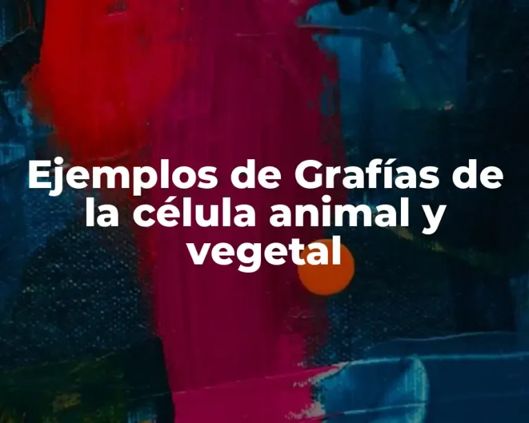 Ejemplos de Grafías de la célula animal y vegetal