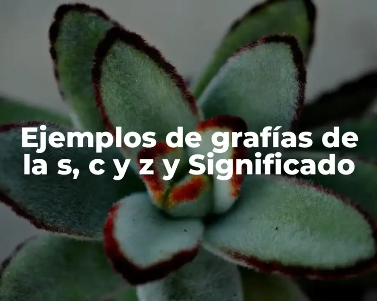 Ejemplos de grafías de la s, c y z y Significado
