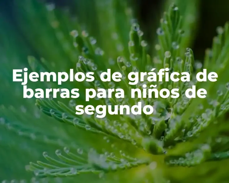 Ejemplos de gráfica de barras para niños de segundo