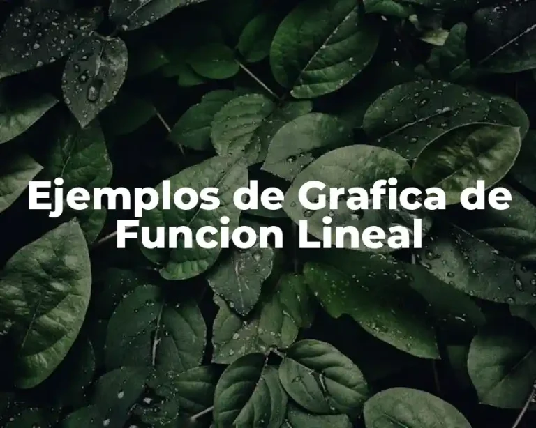 Ejemplos de Grafica de Funcion Lineal