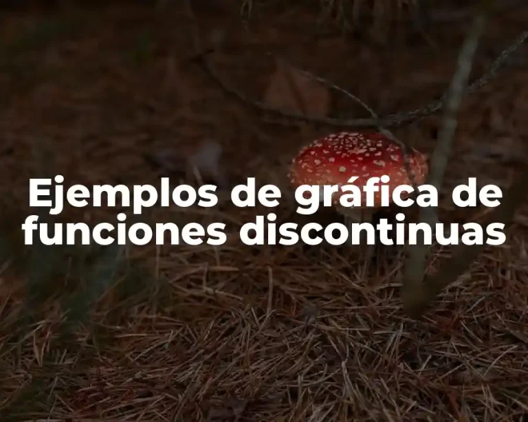 Ejemplos de gráfica de funciones discontinuas