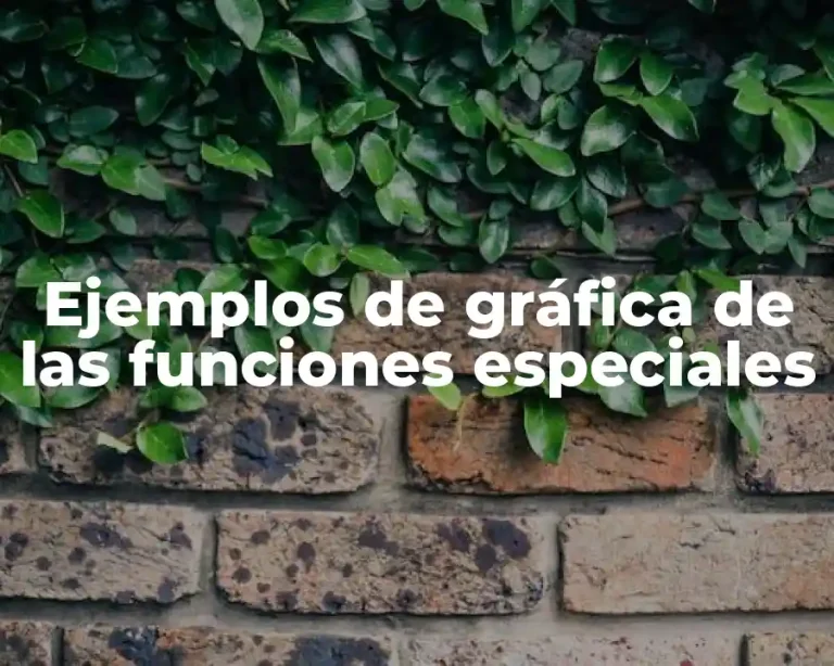 Ejemplos de gráfica de las funciones especiales