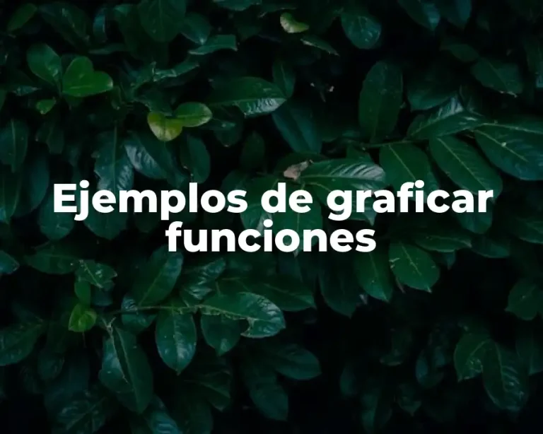 Ejemplos de graficar funciones
