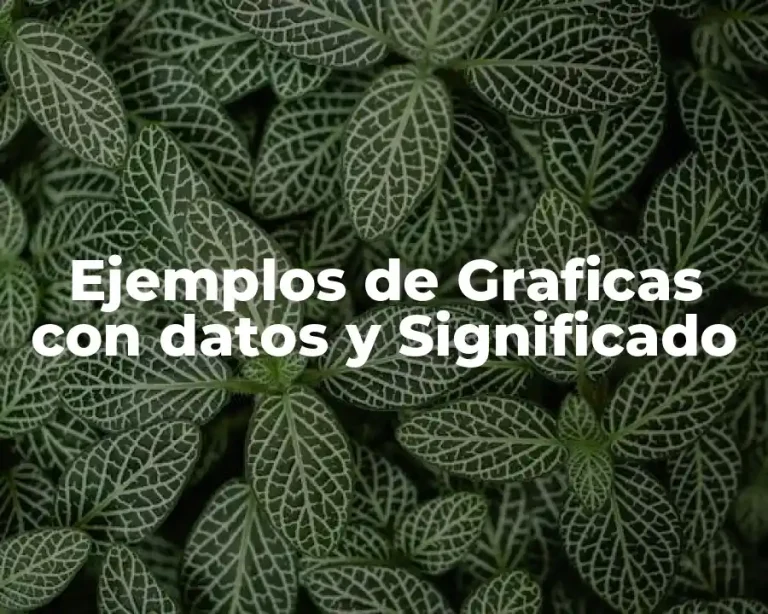Ejemplos de Graficas con datos y Significado