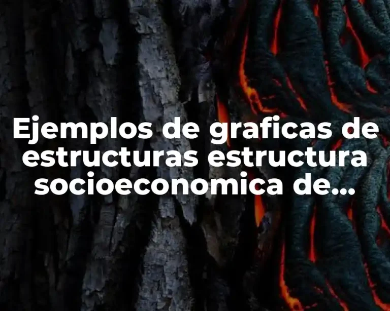 Ejemplos de graficas de estructuras estructura socioeconomica de mexico y Significado