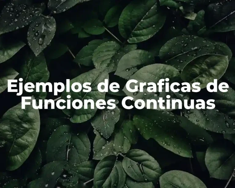 Ejemplos de Graficas de Funciones Continuas