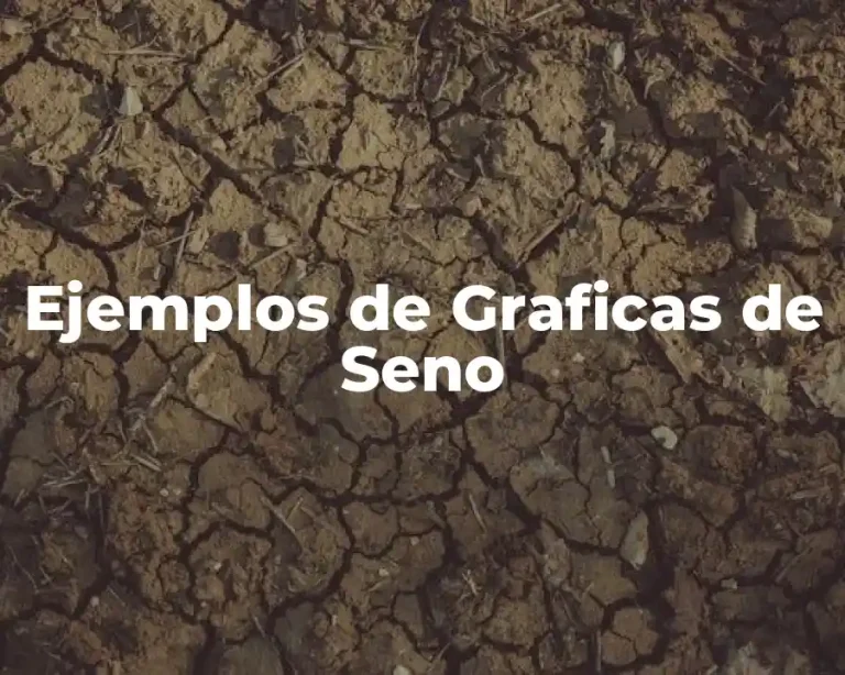 Ejemplos de Graficas de Seno