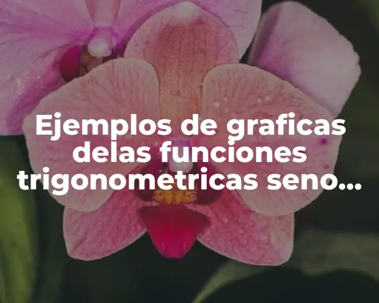 Ejemplos de graficas delas funciones trigonometricas seno coseno