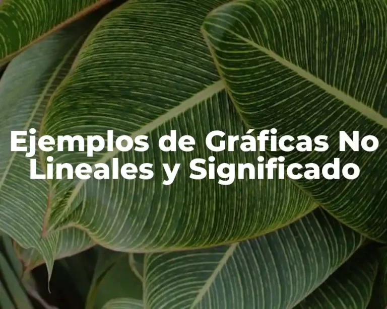 Ejemplos de Gráficas No Lineales y Significado
