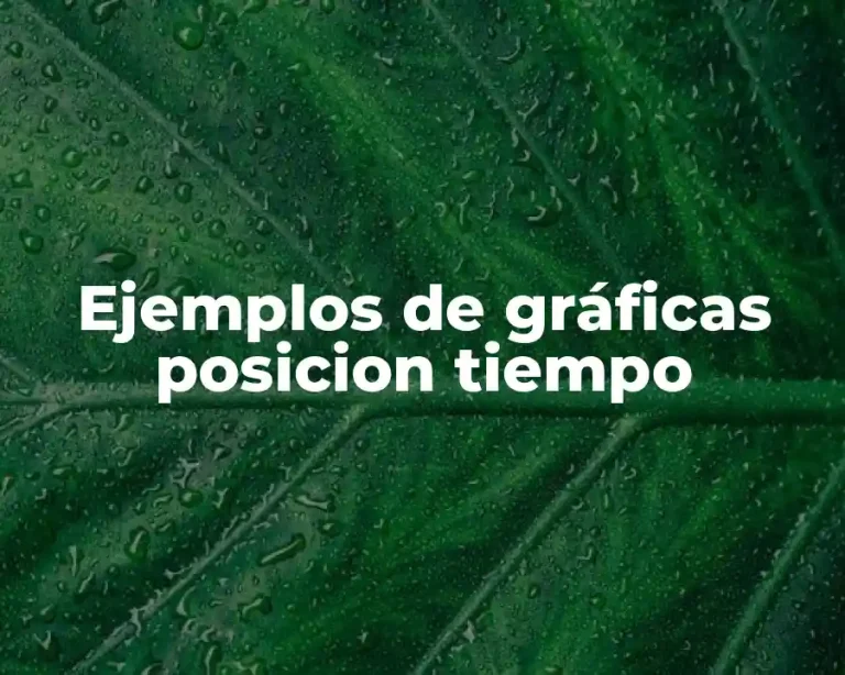Ejemplos de gráficas posicion tiempo