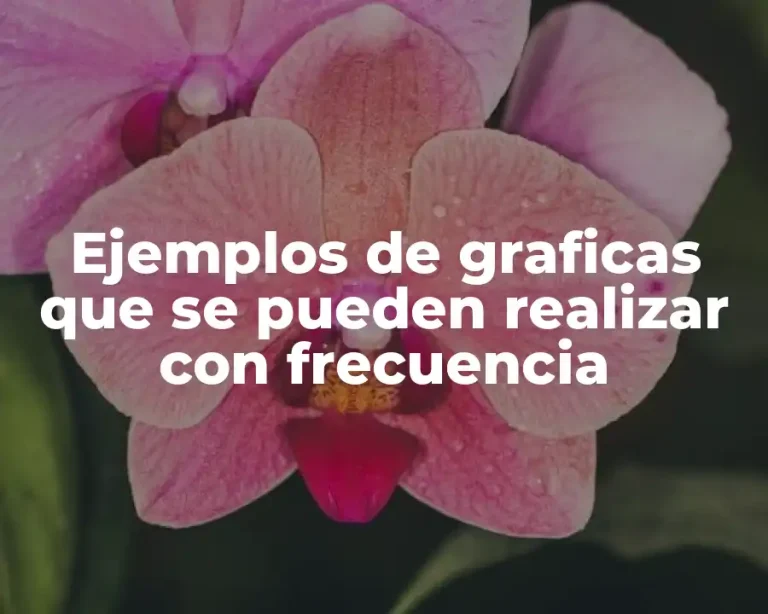 Ejemplos de graficas que se pueden realizar con frecuencia