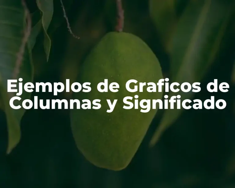 Ejemplos de Graficos de Columnas y Significado