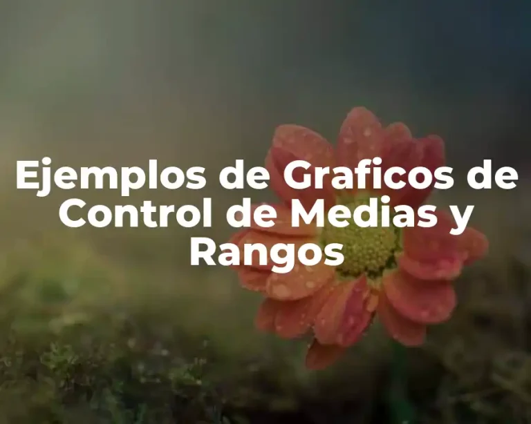 Ejemplos de Graficos de Control de Medias y Rangos