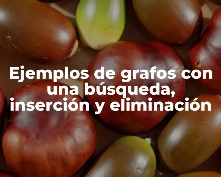 Ejemplos de grafos con una búsqueda, inserción y eliminación
