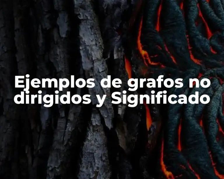 Ejemplos de grafos no dirigidos y Significado