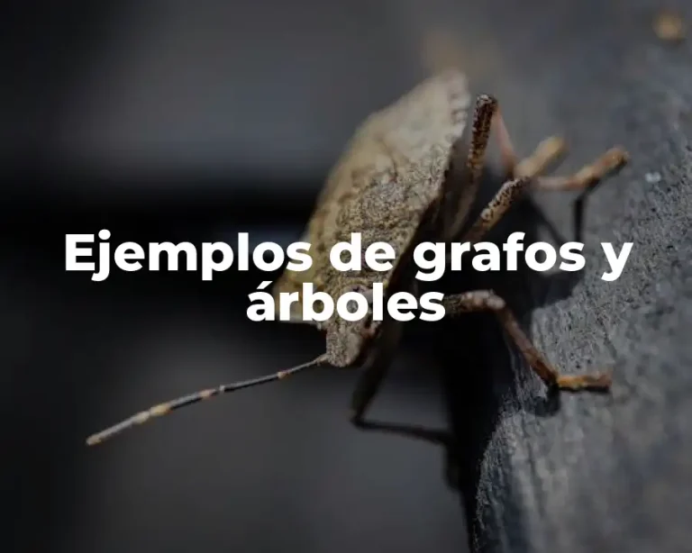 Ejemplos de grafos y árboles