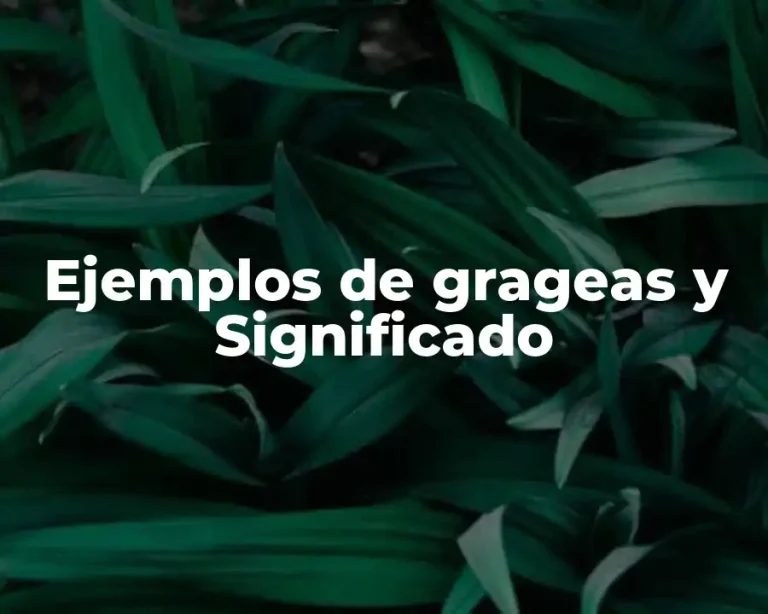 Ejemplos de grageas y Significado