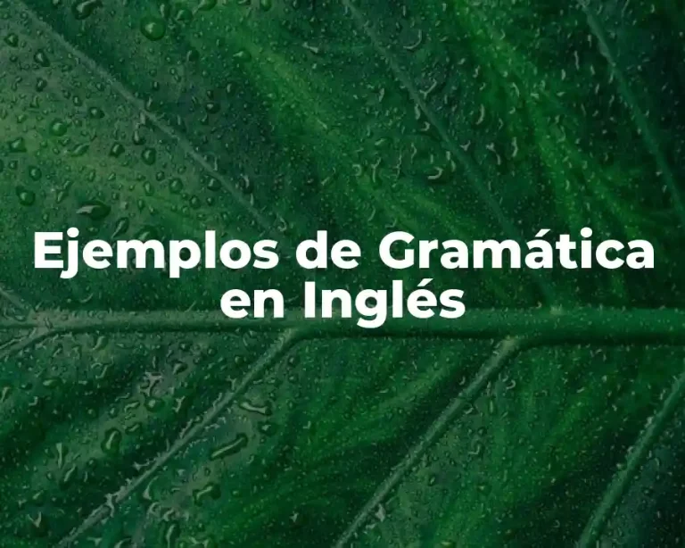 Ejemplos de Gramática en Inglés