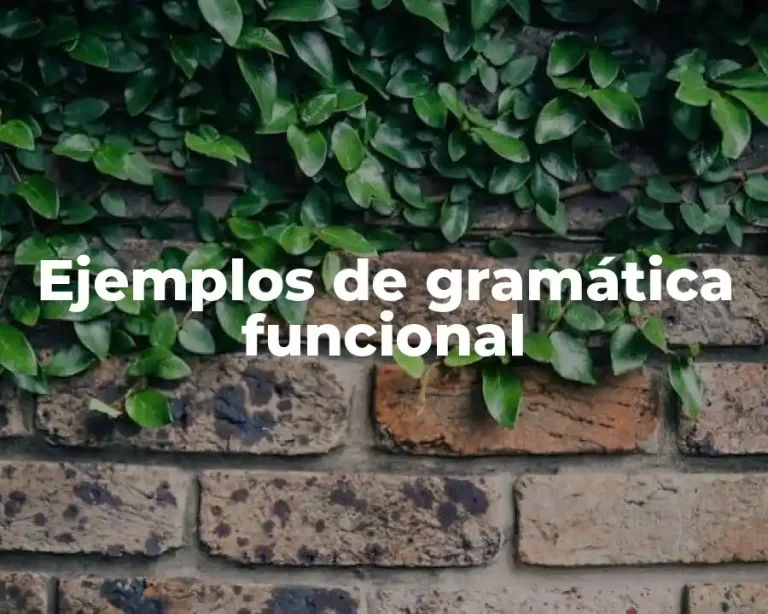 Ejemplos de gramática funcional