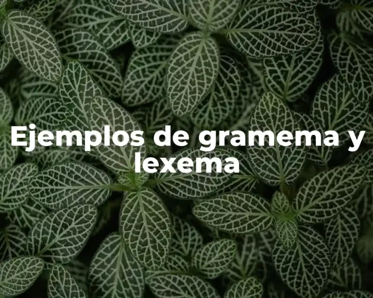 Ejemplos de gramema y lexema