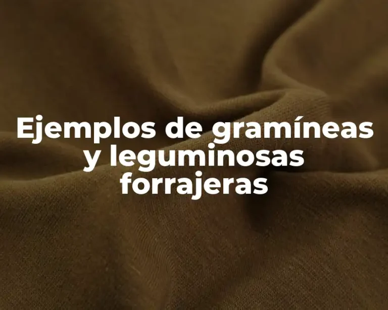 Ejemplos de gramíneas y leguminosas forrajeras