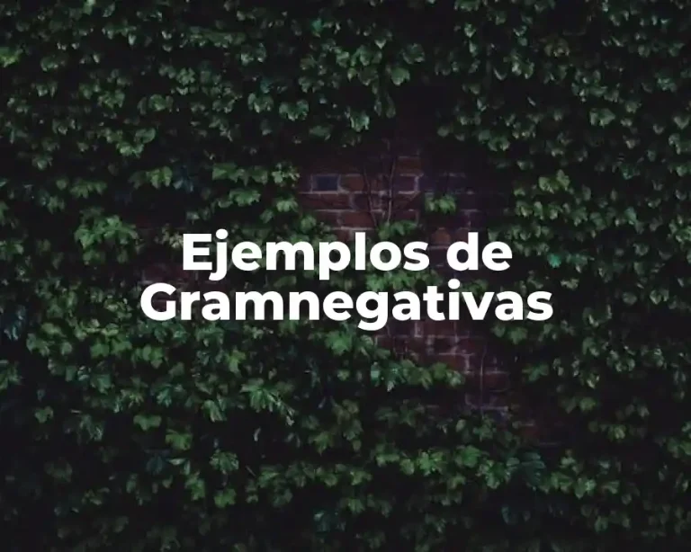 Ejemplos de Gramnegativas