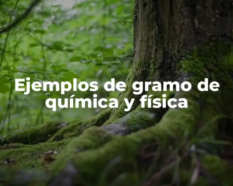 Ejemplos de gramo de química y física