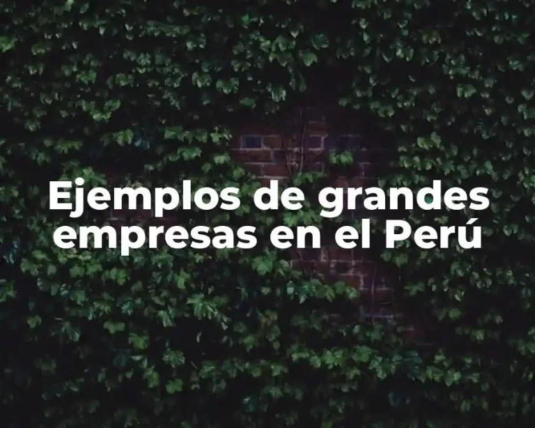 Ejemplos de grandes empresas en el Perú