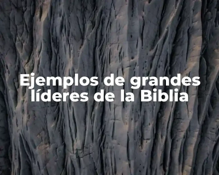 Ejemplos de grandes líderes de la Biblia