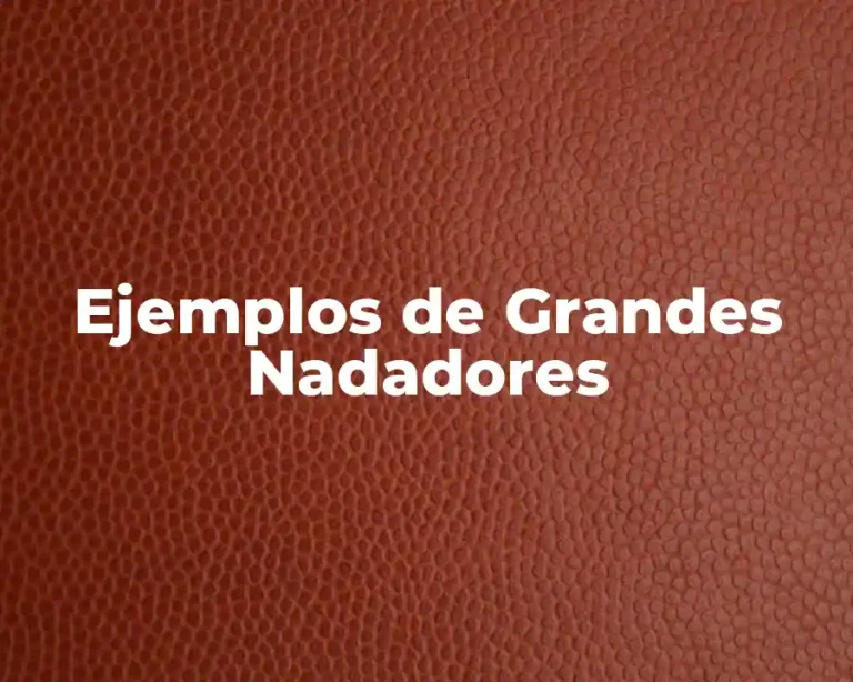 Ejemplos de Grandes Nadadores