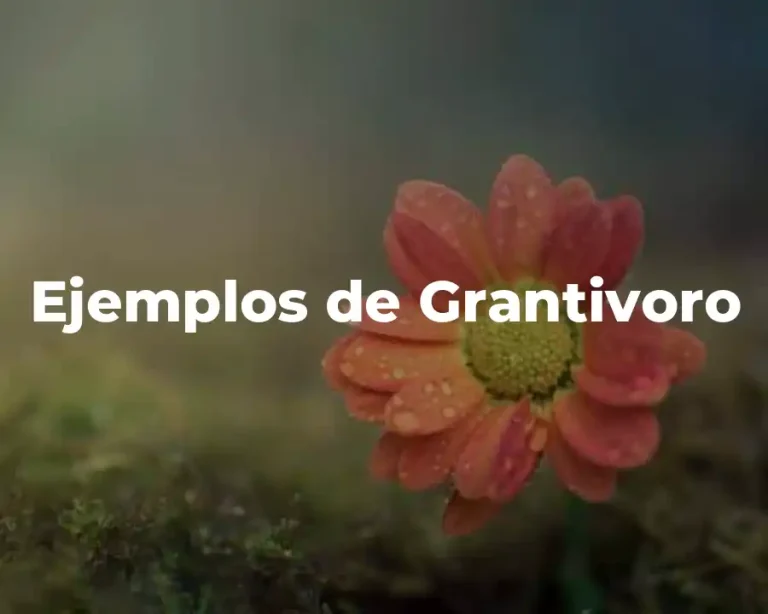 Ejemplos de Grantivoro