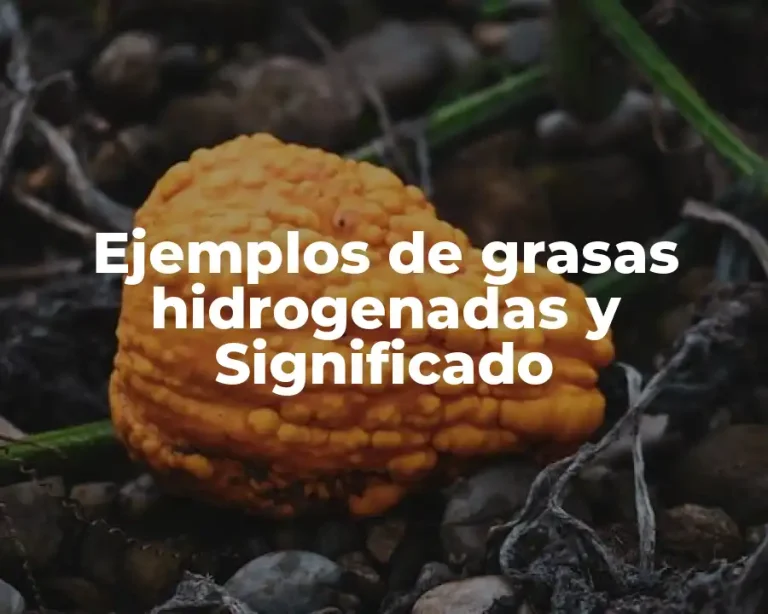 Ejemplos de grasas hidrogenadas y Significado